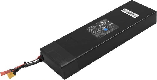 Hulajnoga RIDE 100S, 10 Ah, 36 V