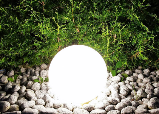 Żarówka LED Trango, kolor biały